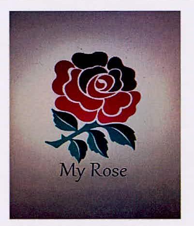 MY ROSE