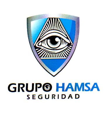 GRUPO HAMSA SEGURIDAD