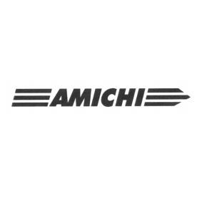 AMICHI