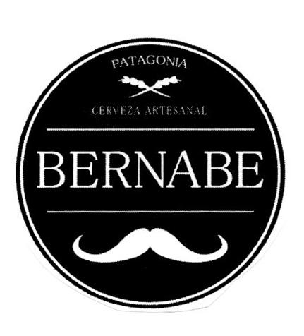 PATAGONIA CERVEZA ARTESANAL BERNABE