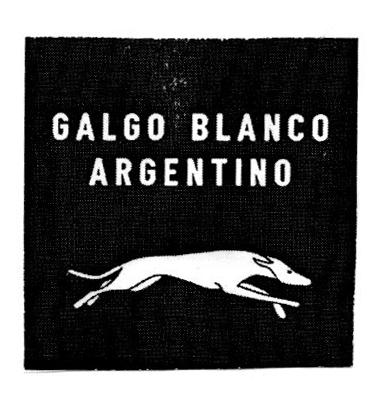 GALGO BLANCO ARGENTINO