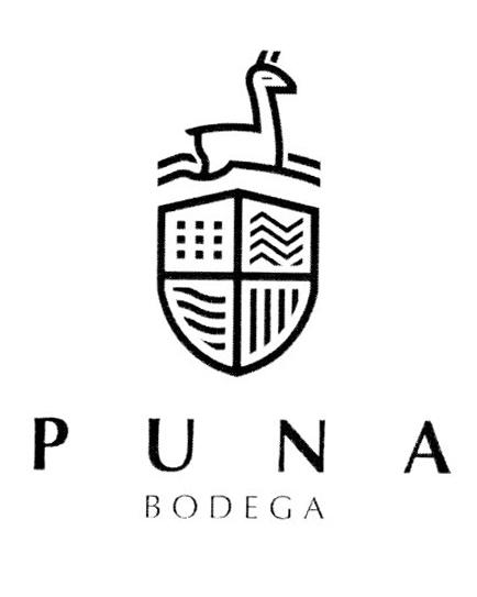 PUNA BODEGA