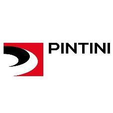 PINTINI