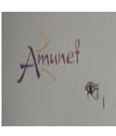 AMUNET