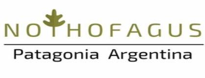 NOTHOFAGUS PATAGONIA ARGENTINA