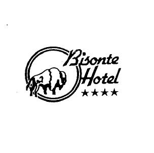 HOTEL BISONTE