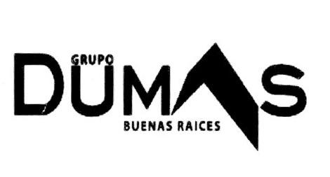 GRUPO DUMAS BUENAS RAICES