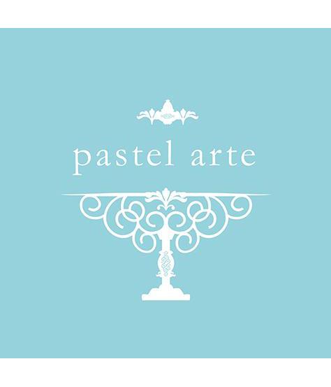 PASTEL ARTE