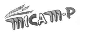 MICAM-P