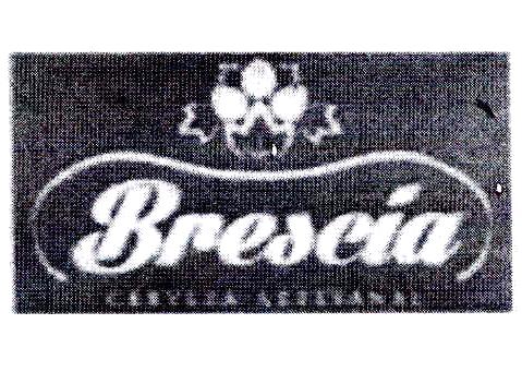 BRESCIA CERVEZA ARTESANAL