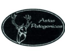 ASTAS PATAGONICAS