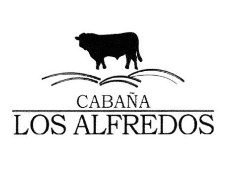 CABAÑA LOS ALFREDOS