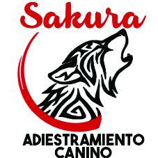 SAKURA ADIESTRAMIENTO CANINO