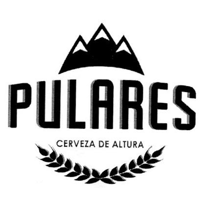 PULARES CERVEZA DE ALTURA