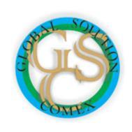 GLOBAL SOLUTIONS COMEX