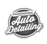 PROFESSIONAL AUTO DETAILING