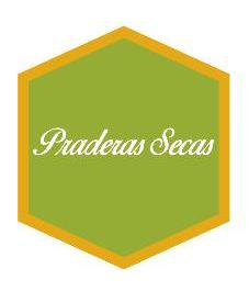 PRADERAS SECAS