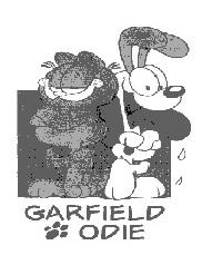 GARFIELD ODIE