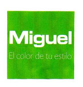 MIGUEL EL COLOR DE TU ESTILO