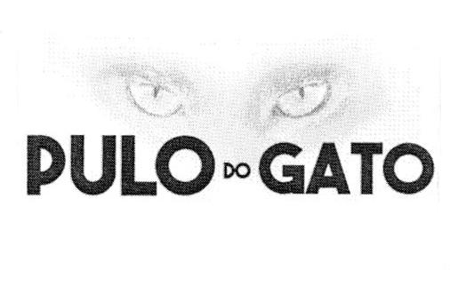 PULO DO GATO