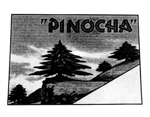 PINOCHA