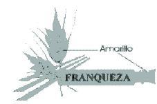FRANQUEZA