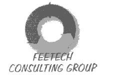 FEETECH CONSULTING GROUP