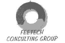 FEETECH CONSULTING GROUP