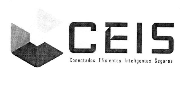 CEIS CONECTADOS EFICIENTES INTELIGENTES SEGUROS