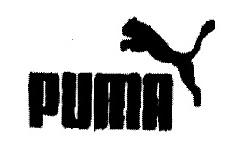 PUMA