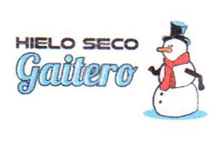 HIELO SECO GAITERO