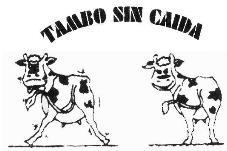 TAMBO SIN CAIDA