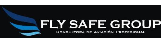 FLY SAFE GROUP CONSULTORA DE AVIACION PROFESIONAL