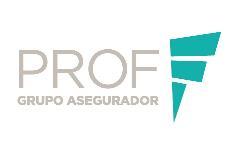 PROF GRUPO ASEGURADOR