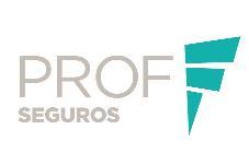 PROF SEGUROS