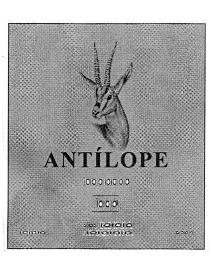 ANTÍLOPE