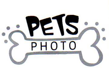 PETS PHOTO