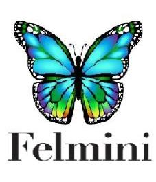 FELMINI