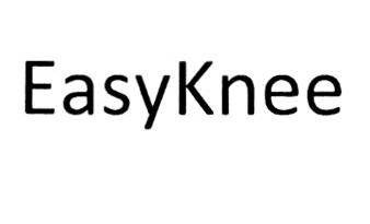 EASYKNEE