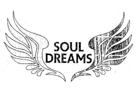 SOUL DREAMS