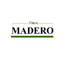 FINCA MADERO