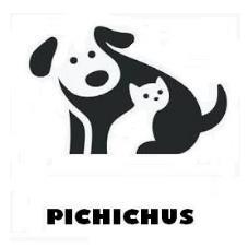 PICHICHUS