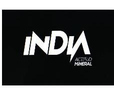 INDIA ACTITUD MINERAL