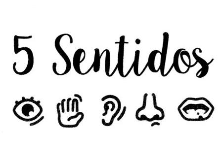 5 SENTIDOS