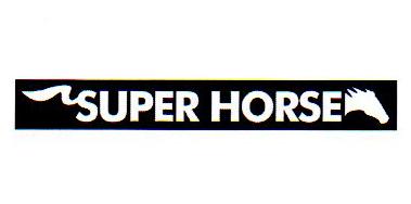 SUPER HORSE