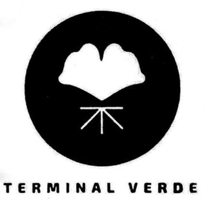 TERMINAL VERDE