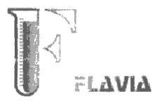 F FLAVIA
