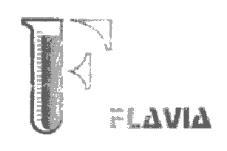 F FLAVIA