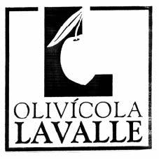 OLIVICOLA LAVALLE