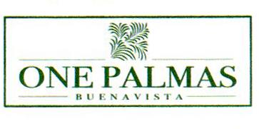 ONE PALMAS BUENA VISTA